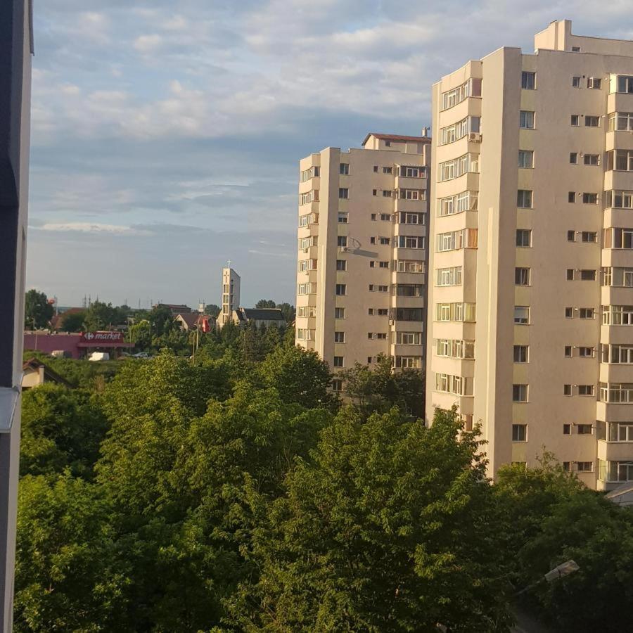 Casa Roxana Apartment Slatina  Luaran gambar