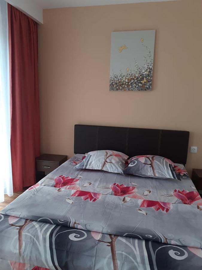 Casa Roxana Apartment Slatina  Luaran gambar