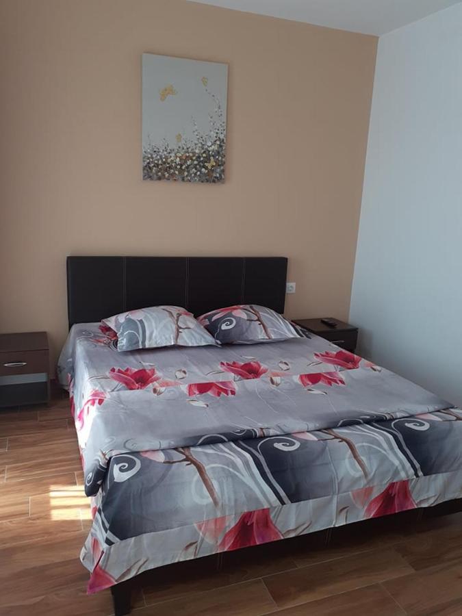 Casa Roxana Apartment Slatina  Luaran gambar